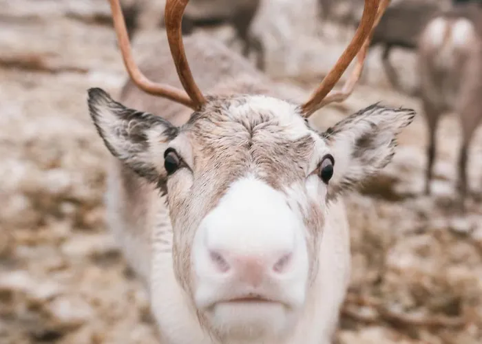 Apartamento From The Front Row - With Unforgettable Views